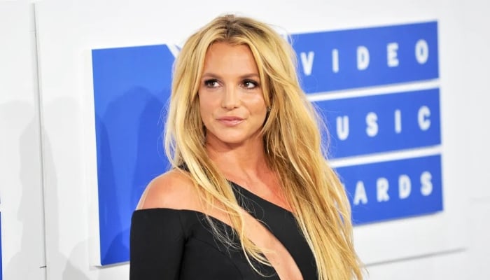 Britney Spears sees flourishing future relationship with sons: Source