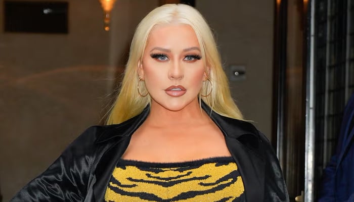 Christina Aguilera celebrates 44th birthday with racy fashion choice