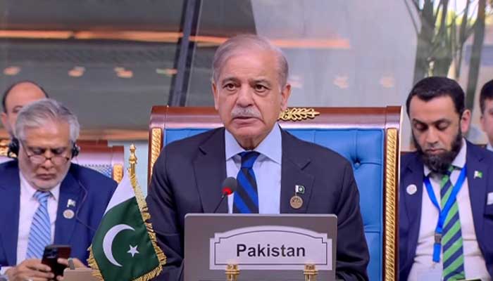 D-8 Summit: PM Shehbaz calls for supporting youth, SMEs for socio-economic growth