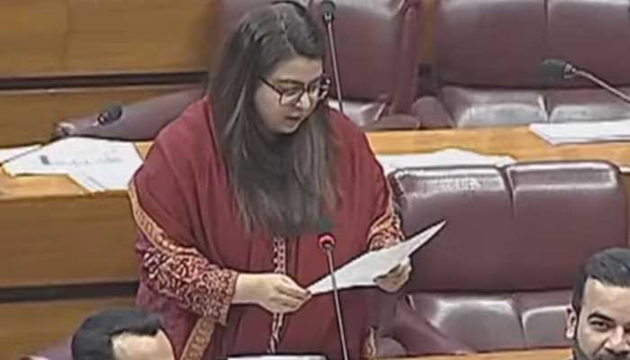 Digital Nation Pakistan Bill tabled in NA to establish unified identity for citizens