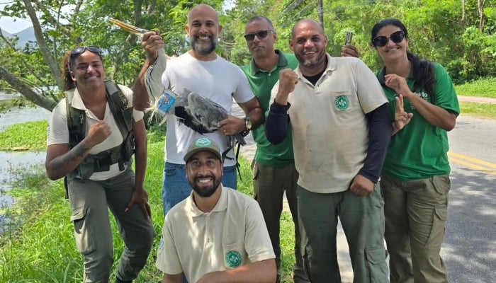 Heron with a team of vets. —Facebook/ @jeferson.pires.71