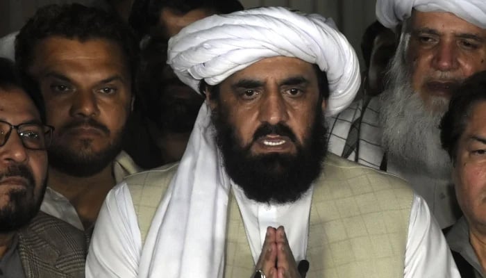 JUI-F leader Hafiz Hamdullah addresses a press conference in Islamabad. — Online