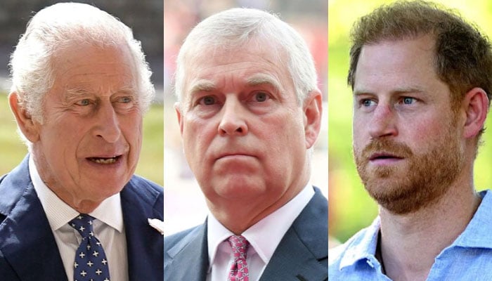 King Charles takes surprise decision on Prince Harry, Andrew’s future ahead of Christmas