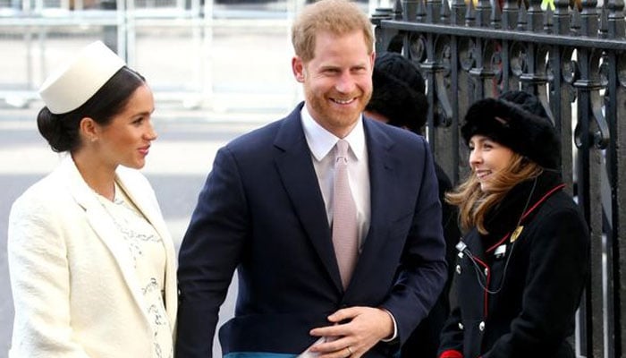 Meghan Markle wants Prince Harry to give up THIS hobby