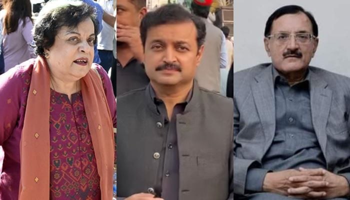 (From left) A collage of former federal minister for Human Rights Shireen Mazari,Raja Rashid Hafiz and Tahir Sadiq. — Online/Instagram@rajarashidhafiz/tahirsadiq_1