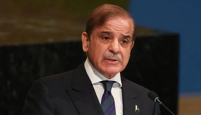 PM Shehbaz to attend D-8 Summit in Egypt from Dec 18-20