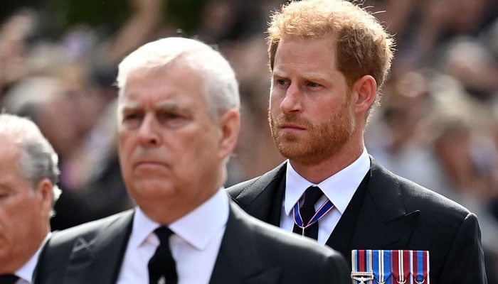 Prince Andrew to follow in Prince Harry’s footsteps as he plans big move