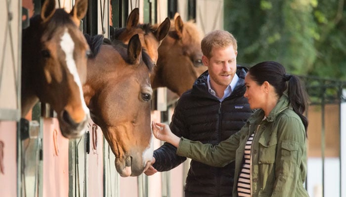 Prince Harry, Meghan Markle slammed for falling off their horses at first hurdle