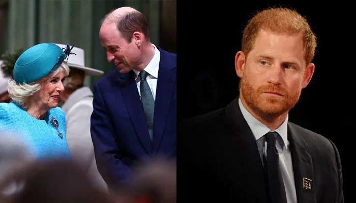 Prince Harry, who calls Camilla villain, says he loves King Charles, William