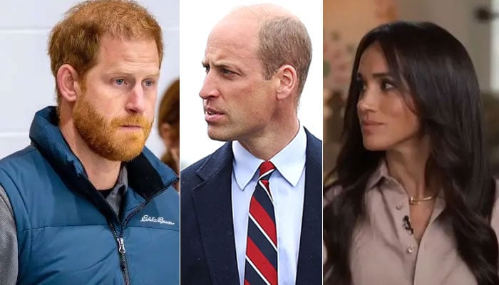 Prince William is cutting Prince Harry, Meghan Markle deep