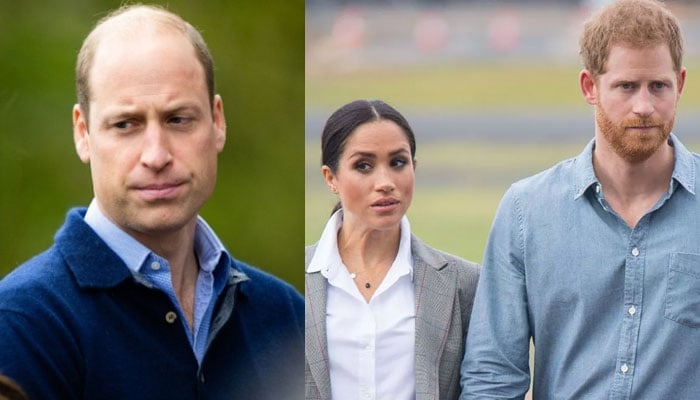 Prince William jolts Prince Harry, Meghan Markles world with shock move