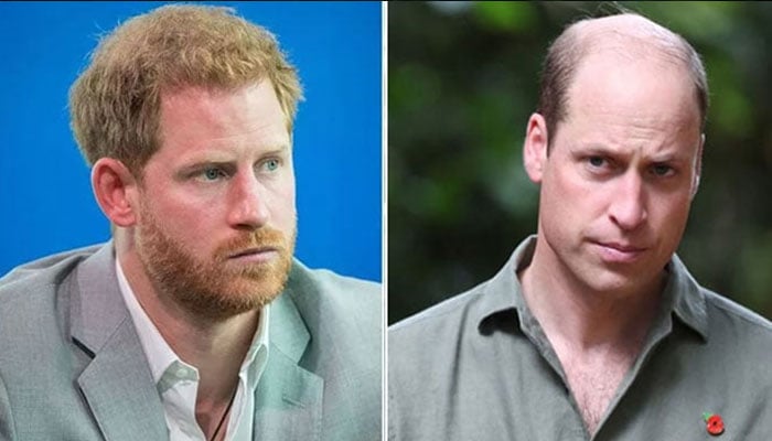 Prince Williams feeling only hatred for Duke of Sussex now?