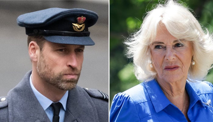 Prince William’s truth exposed: Feelings for Camilla are not what they seem