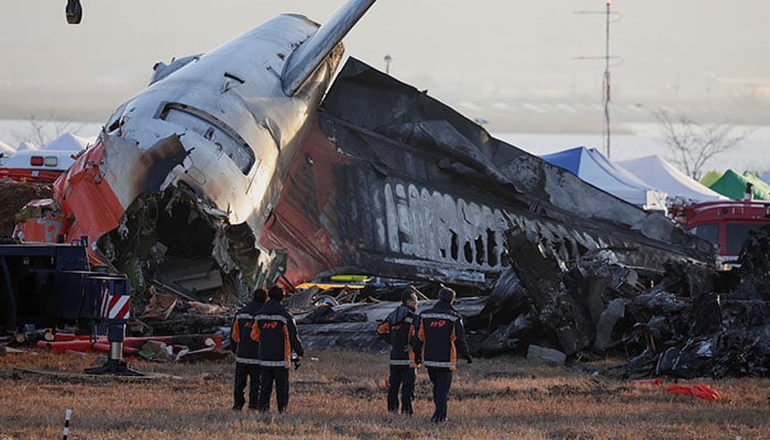 Questions over airport embankment, bird strikes as South Korea air crash probed