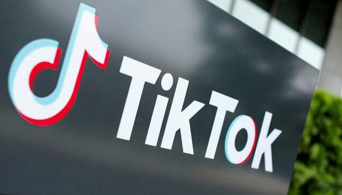 TikTok fights for survival, appeals to Supreme Court over looming ban