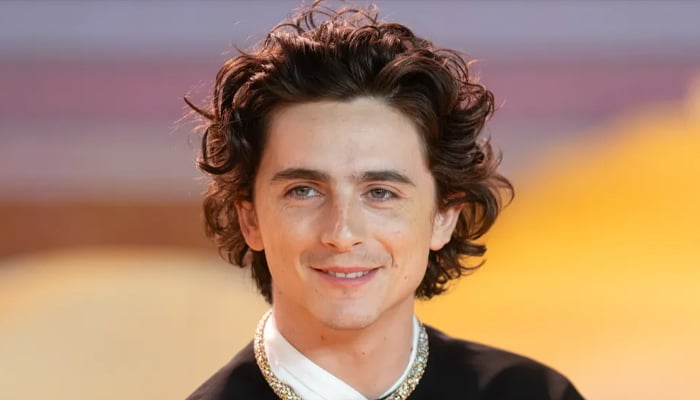 Timothee Chalamet explains what makes him feel like a ‘arrogant prick’