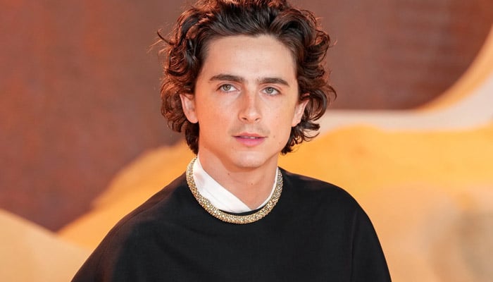 Timothée Chalamet makes rare comments on being a ‘hardest working man’