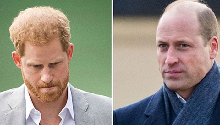 William, Prince of Wales takes massive step to ‘ignore’ Prince Harry completely