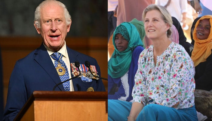 Duchess Sophie’s ‘important’ role in monarchy revealed amid King Charles new abdication plans