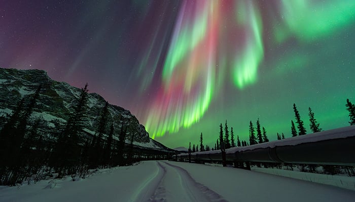 Northern lights dazzle up New Year’s sky