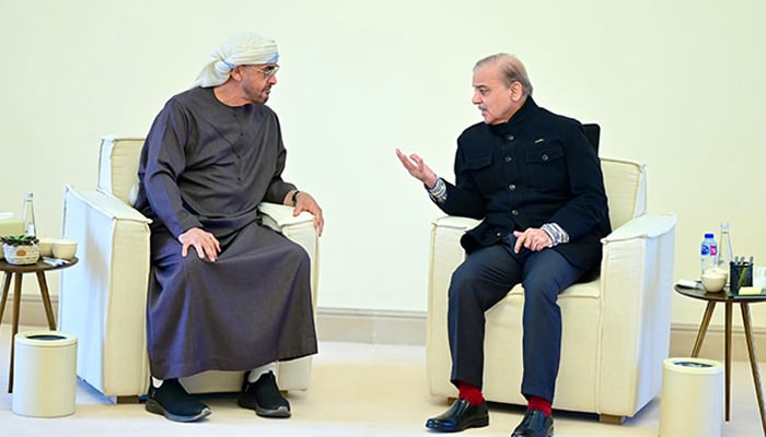 PM Shehbaz, UAE president express commitment to deepening bilateral ties