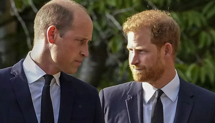 Prince Harry, William planning isolated paths in 2025 from their wives: report