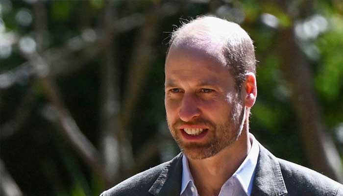 Prince William targeted in new documentary after Meghan’s comeback