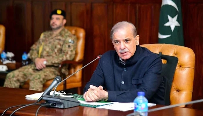 Shehbaz Sharif: expectations and limitations